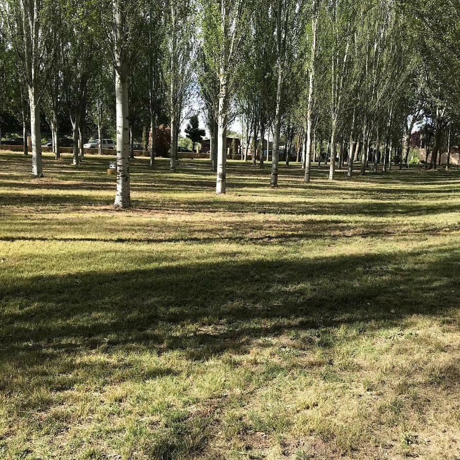 Hotel Camping El Tormes Alba De Tormes Exterior foto